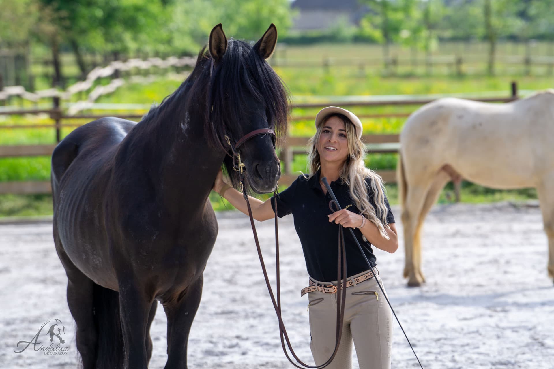 Eine Person mit einem schwarzen Pferd auf dem Reitplatz bei Andaluz de Corazon