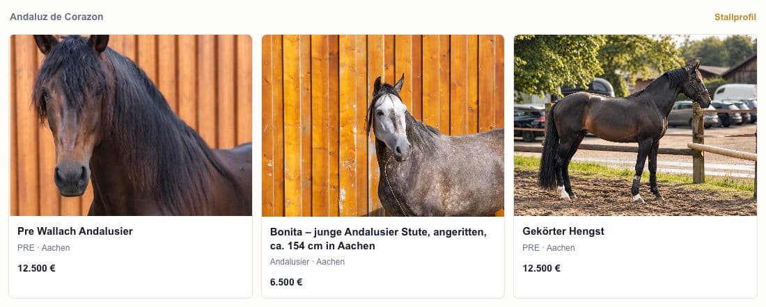 StableOne-Widget mit drei Pferdeangeboten des Stalls Andaluz de Corazon, Bildern, Standort und Preisen